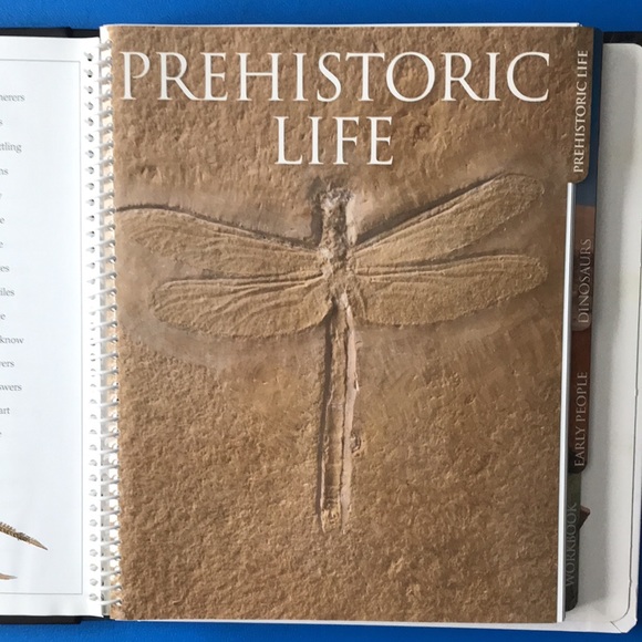 DK Eyewitness Books: Prehistoric Life - Picture 3 of 10